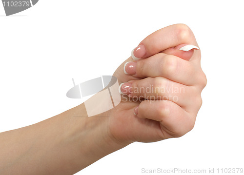 Image of Fig gesture.