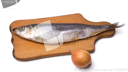 Image of Herring and onion on white background