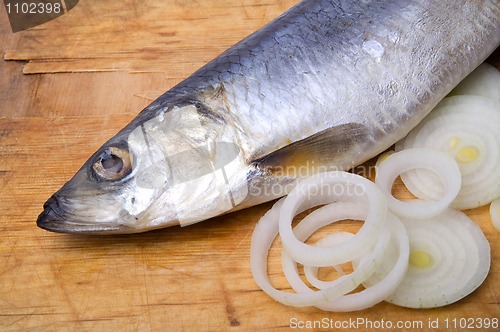 Image of Herring with onion