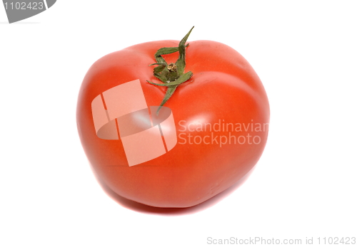 Image of Red tomato on a white background