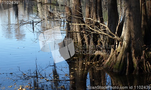 Image of Waters edge 