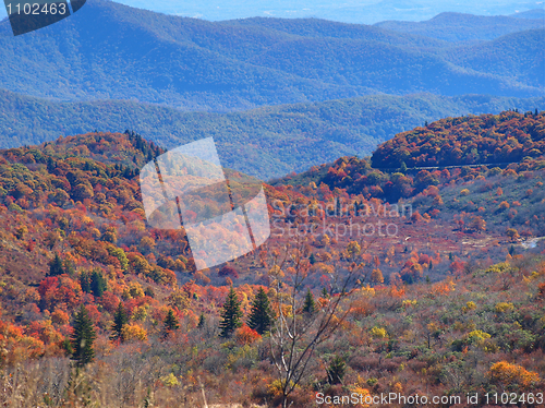 Image of Fall colors