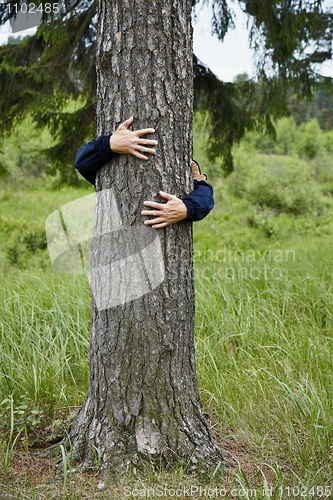 Image of Man hugging tree