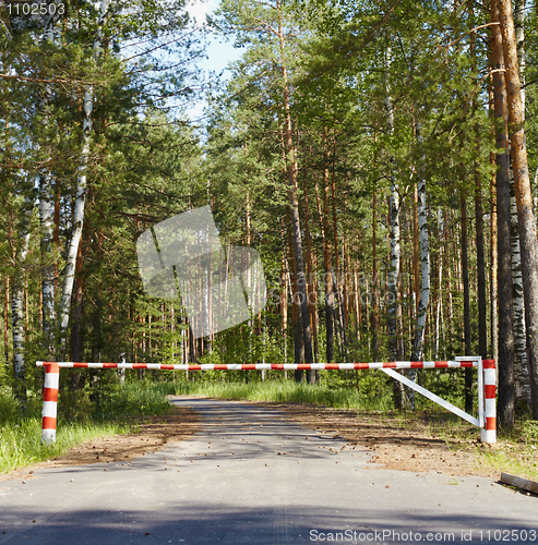 Image of Barrier blocking road in woods