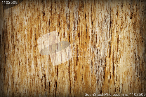 Image of Background - brown rotten tree with cracks