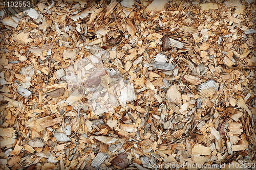 Image of Waste of woodworking manufacture - sawdust background