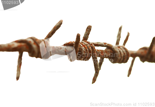 Image of Ancient rusty barbed wire