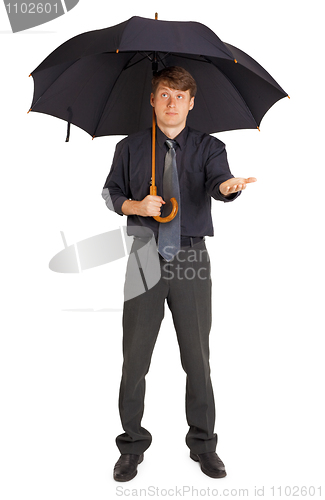 Image of Person protected by a large umbrella