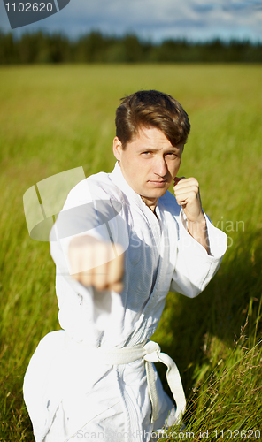 Image of Young karateka on nature