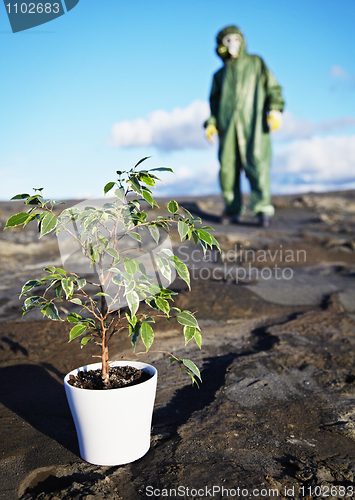 Image of Man in protective suit near green plant