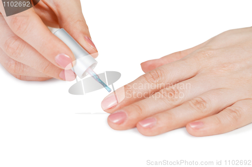 Image of Female hands. Nail polish drawing.