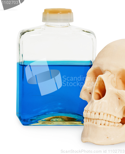 Image of Still life - bottle of poison and human skull