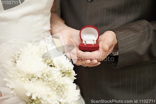 Image of Wedding rings in hands of bride and groom