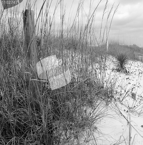 Image of Dunes