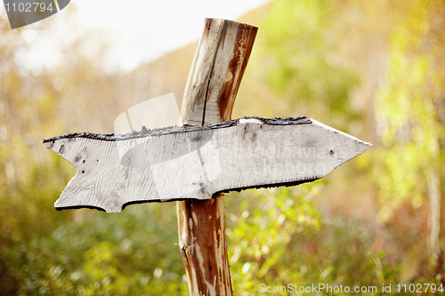 Image of Rough wooden pointer