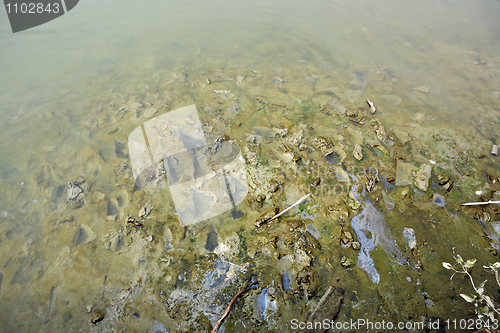 Image of Polluted river bed