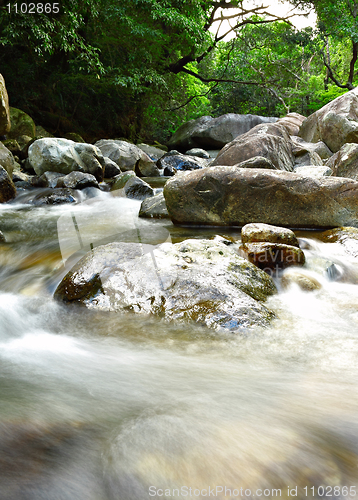 Image of water spring in forest