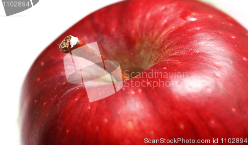 Image of red apple, macro