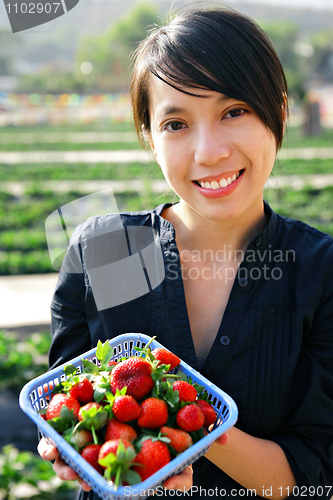 Image of girl pick strawberry
