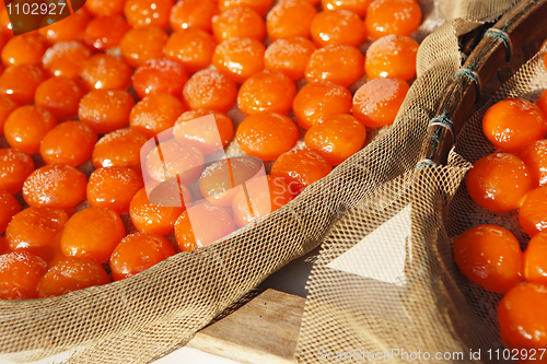 Image of Salted egg yolk, traditional chinese food