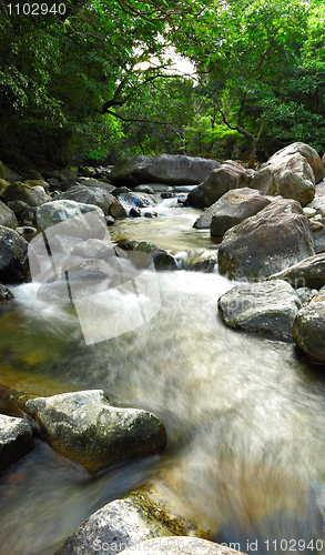 Image of water spring in forest