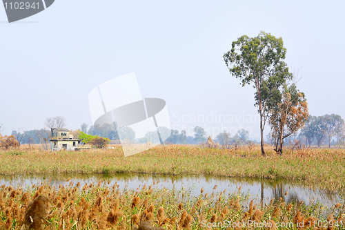 Image of Wetland