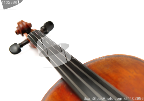 Image of violin head