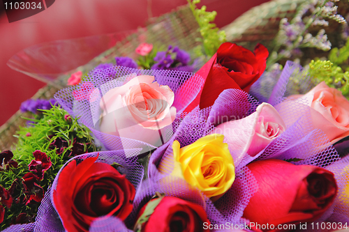 Image of colourful rose