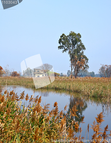 Image of Wetland