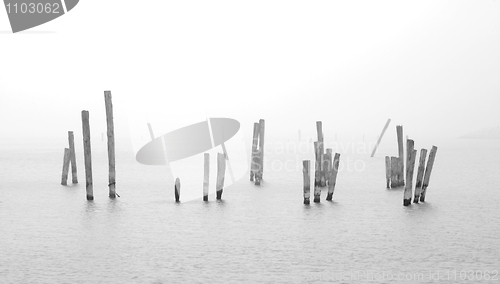 Image of wood in water