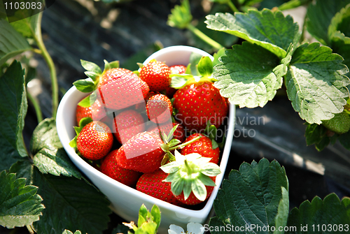 Image of Fresh picked strawberries in heart shape bowl