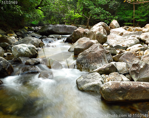 Image of water spring in forest
