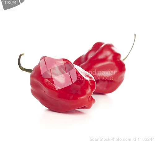 Image of red hot chili peppers