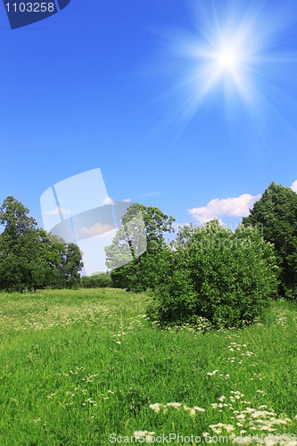 Image of Beautiful field landscape