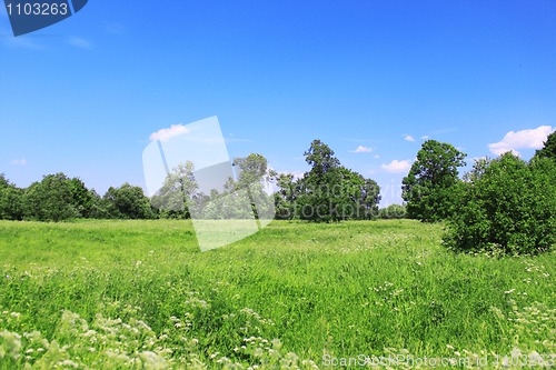 Image of Beautiful field landscape