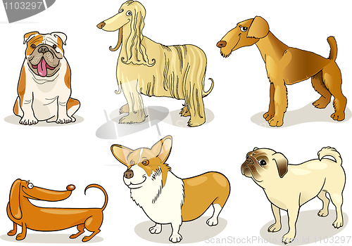 Image of purebred dogs