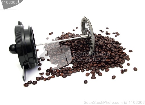 Image of Bodum Roasted Beans