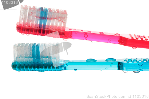 Image of Wet toothbrushes