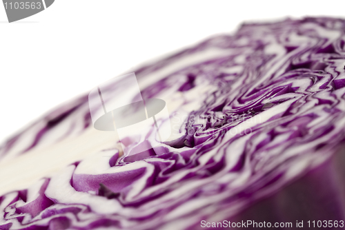 Image of Extreme close-up of purple cabbage