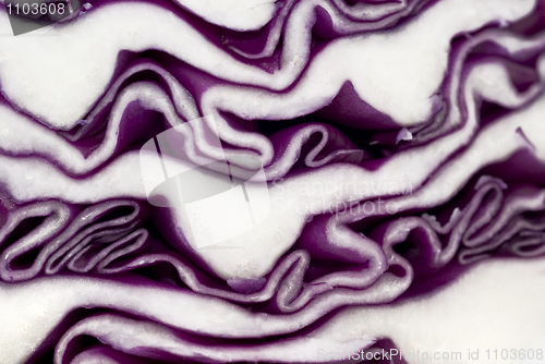 Image of Cabbage background 