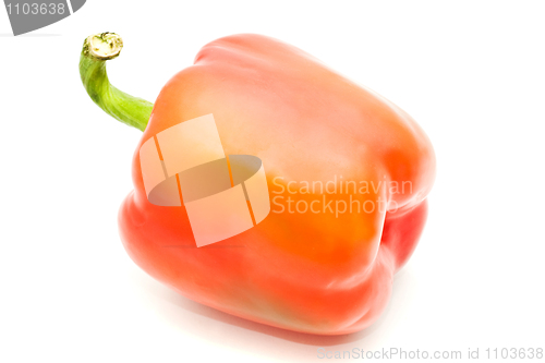 Image of Sweet pepper on white
