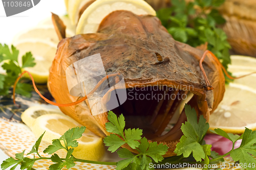 Image of Shore dinner - closeup of fresh-water catfish 