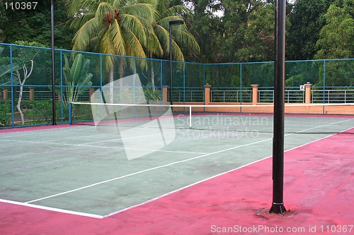 Image of Tropical tennis