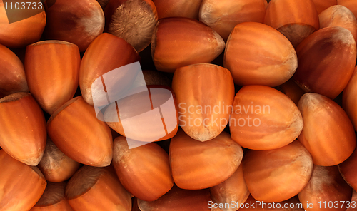 Image of Filbert nuts texture or background