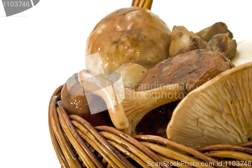 Image of Mushrooms Heap in the basket