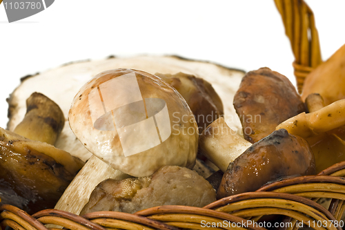 Image of Closeup of mushrooms in the basket