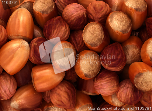 Image of Hazel nuts and filbert texture