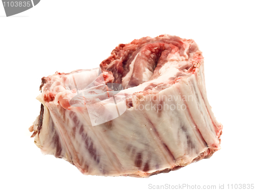 Image of Pork ribs with raw meat isolated 