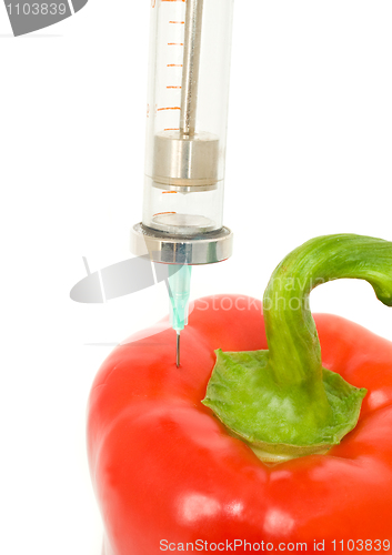 Image of Genetically modified object - pepper