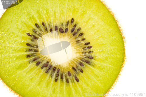 Image of Tasty, green and fresh - kiwi fruit slice